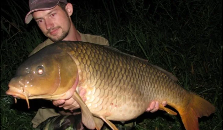 Boj na mušlovém poli