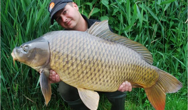 Další Mušovský úspěch