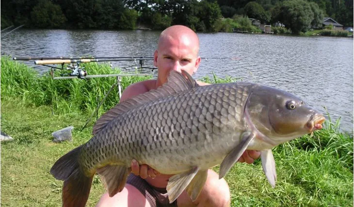 Kapří výjezdy zpod keře