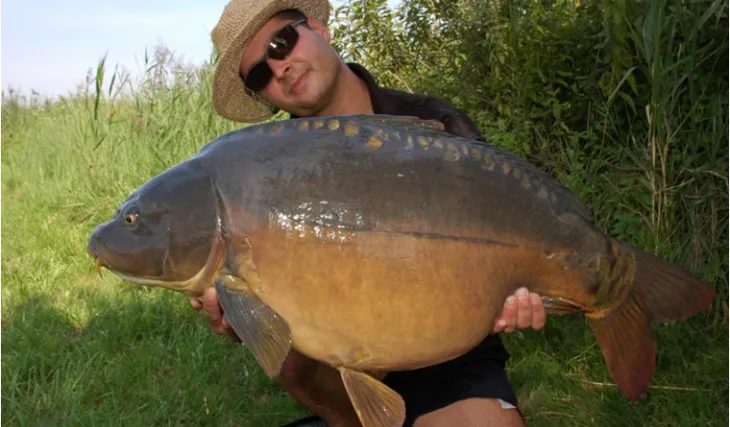 Shimansky zase boosteroval!