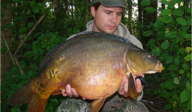 Letní stopování velkých šupináčů