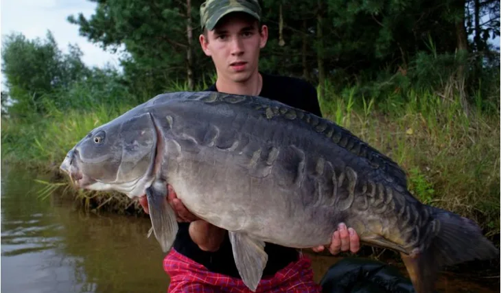 Další zářez pro Elite Strawberry! 