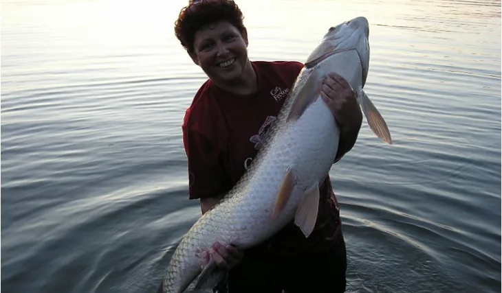 Bojovníci z Jižní Karolíny