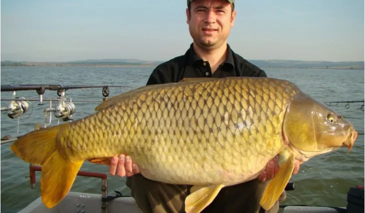 Babí léto pod Pálavou