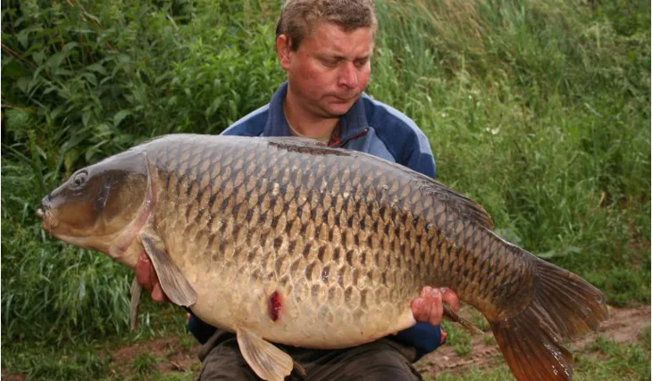 Svazovková tour Pavla Janouška