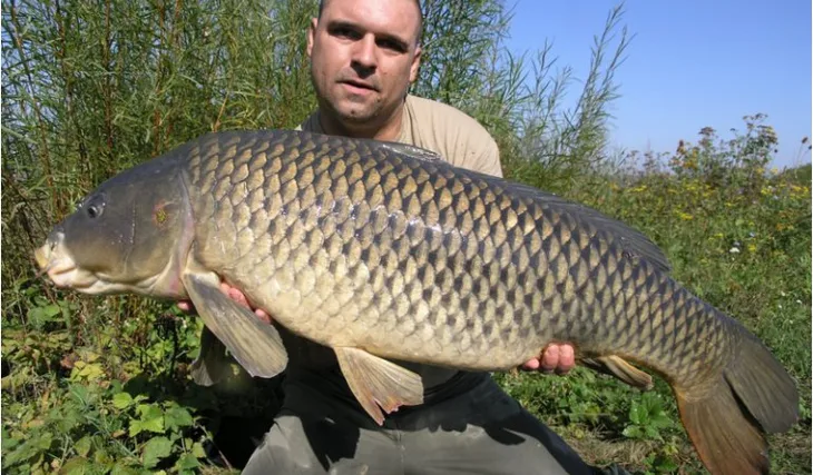 Začátek podzimu na Králové