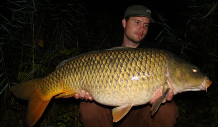 Davidovi Česko-Francouzští šupináči