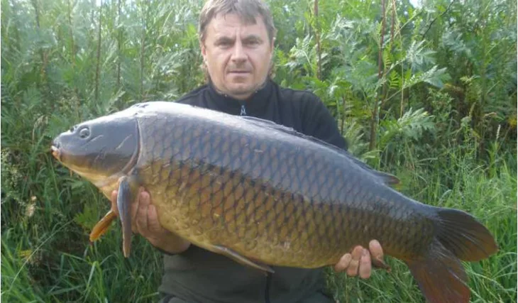 Mistr krátkodobých lovů