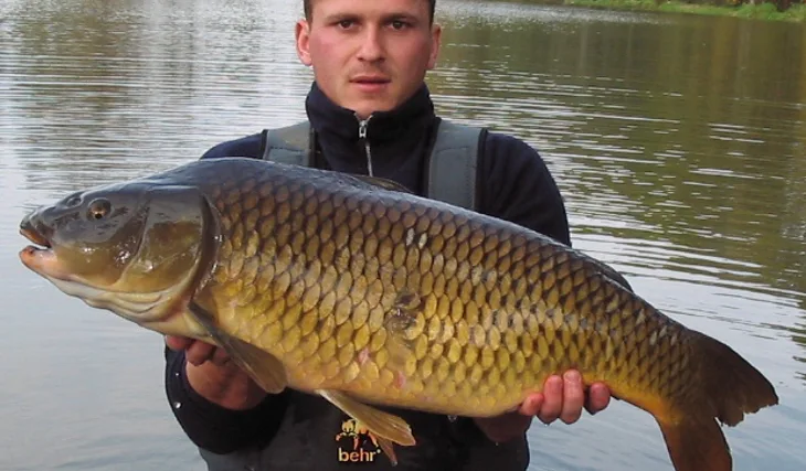 Podzim na severu moravy