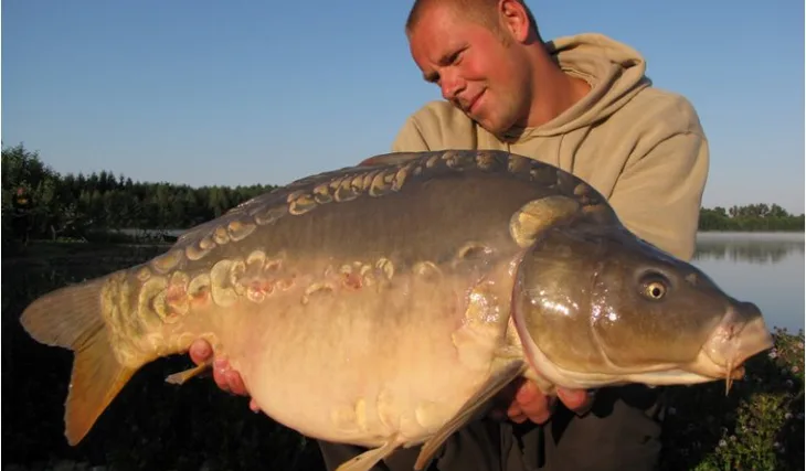 Jirkovy rychlé výpady