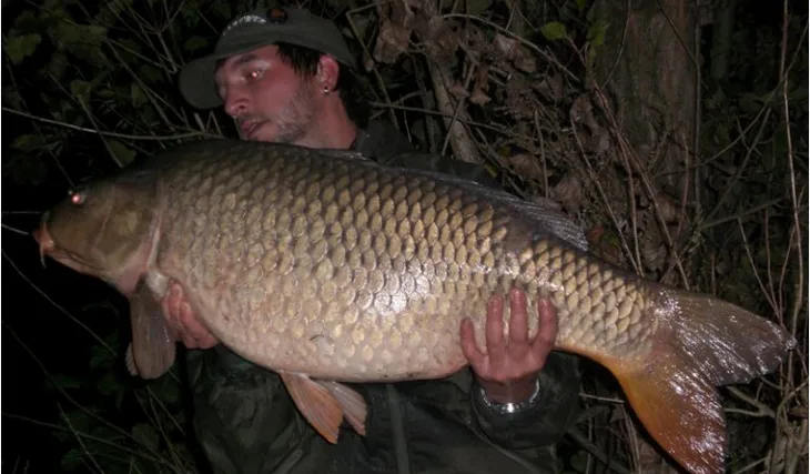 Pavlovy podzimní osobáky