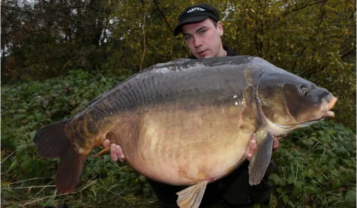 Carpkillerův poklad na Labi