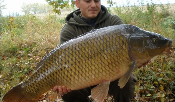 Sváteční lov a šupinatý osobák