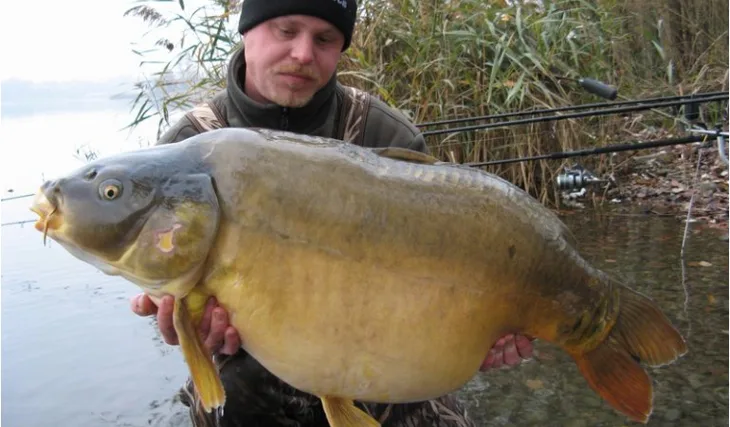 Davidův další letošní úspěch