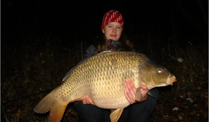 S posledním letošním listím