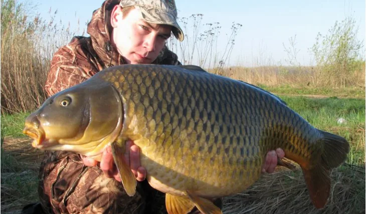 Carpkillerův pekelný rozjezd