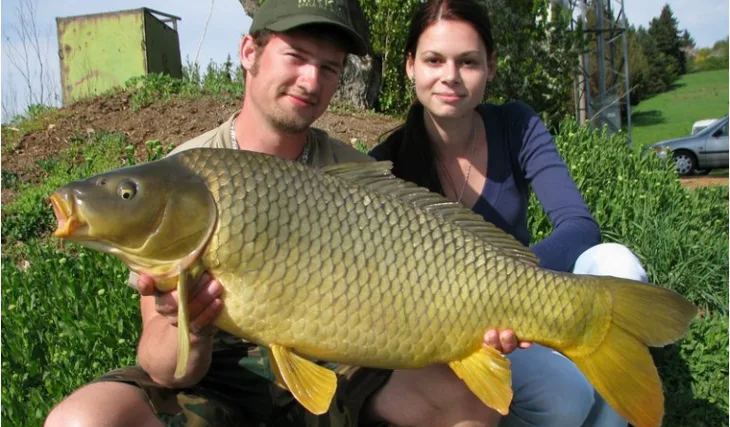 Popůvecké tažení na pětce