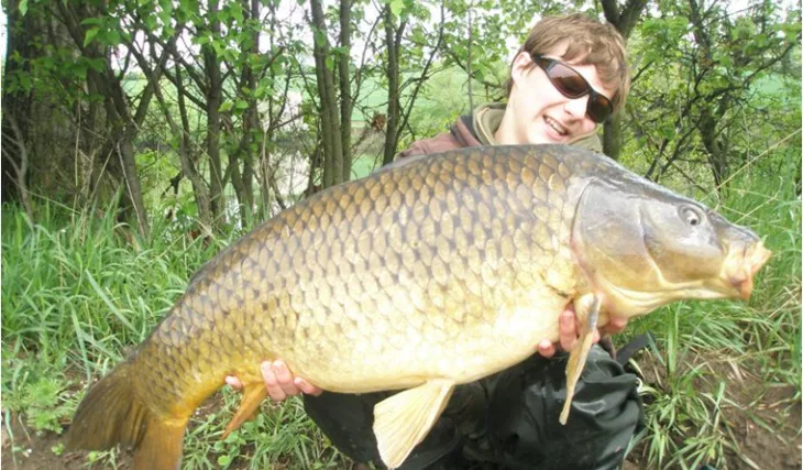 Mládě trhá osobák