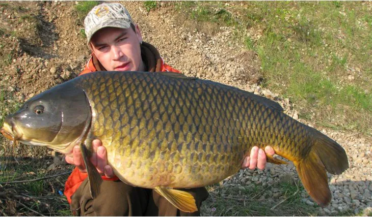 Změna přináší úspěch