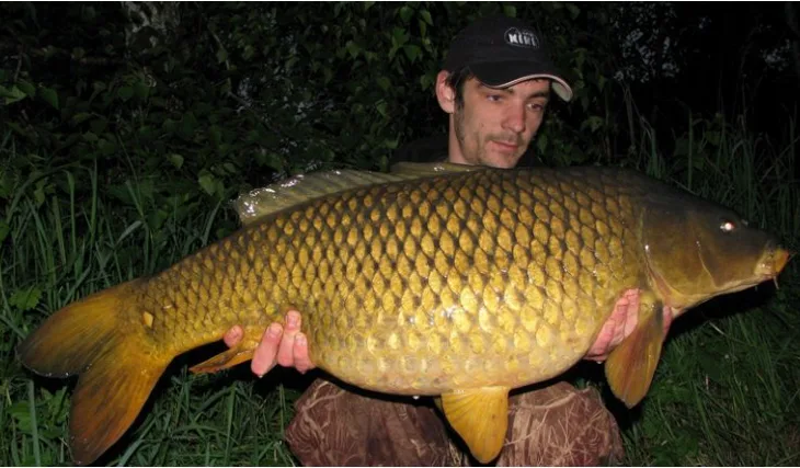 Láďa a jeho krátká tažení