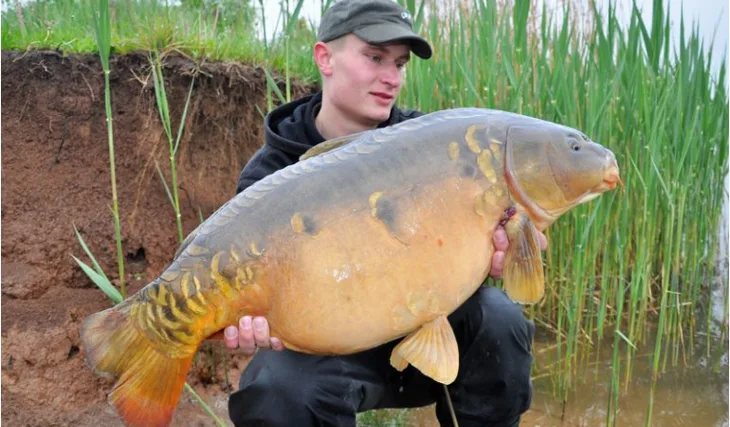 Ještě před zkouškami