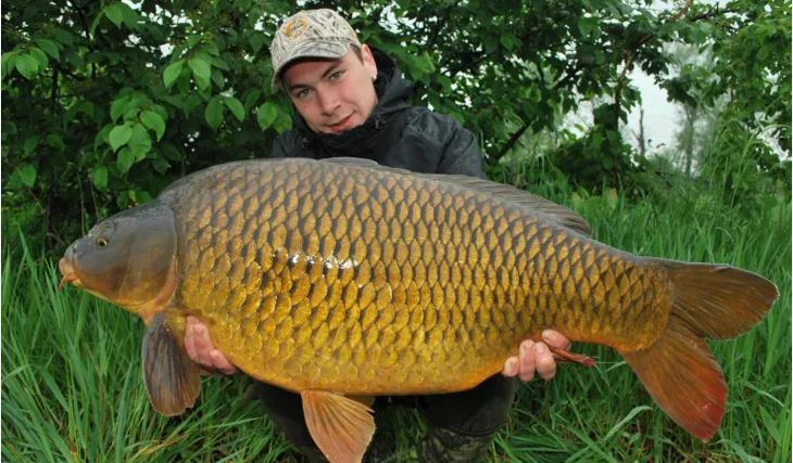 Carpkillerovo rande s Ploutvičkou