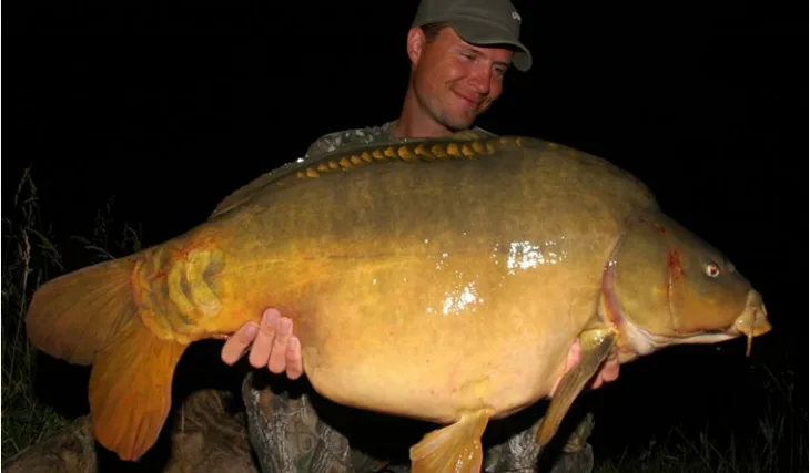 Davidovo francouzské dobrodružství