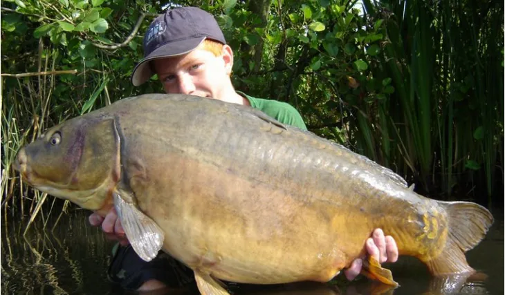 Francouzská premiéra