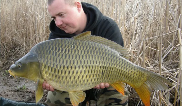 Milošovy jarní lovy