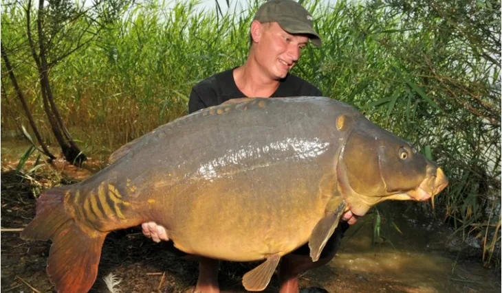 Skutečná letní výzva