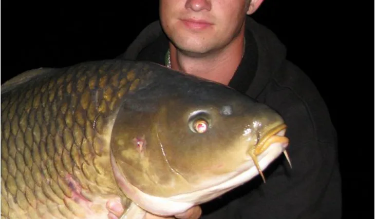 Petráskova Mušovská premiéra