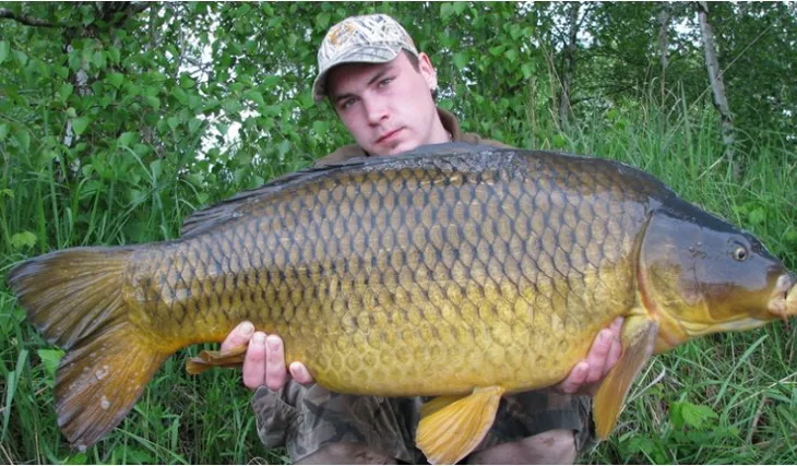 Ještě před třením