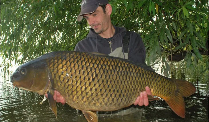 Láďovy kapří hody pokračují