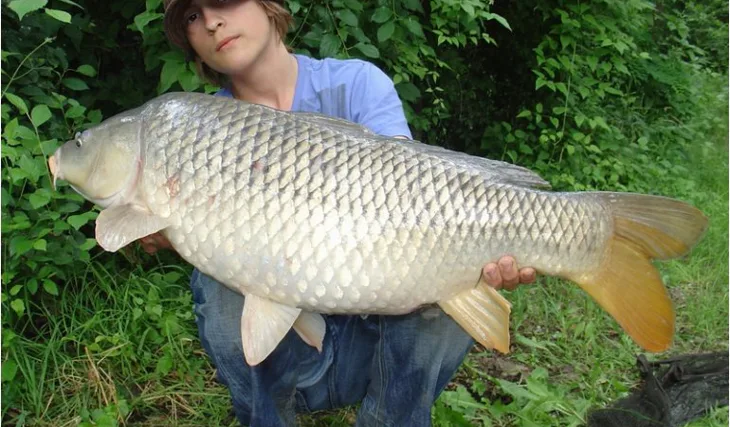 48 hodin na Malém Dunaji 