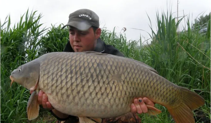 První polovina sezony