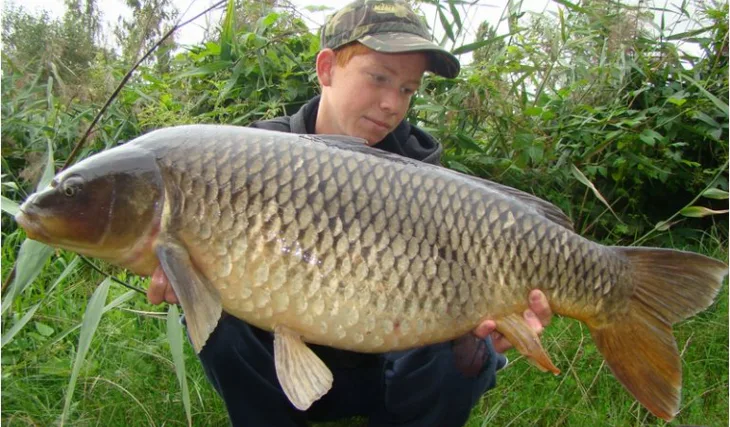Konec prázdnin v podání Kinder Carp Gangu