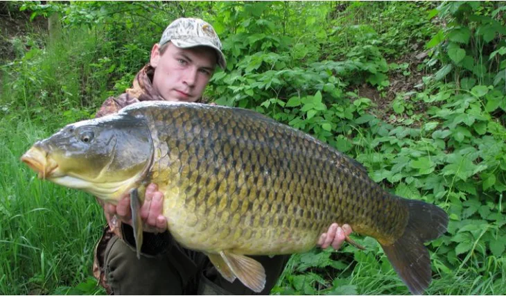 Štěstí v neštěstí