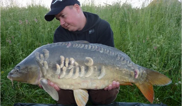 Nezištná pomoc se vyplácí... 