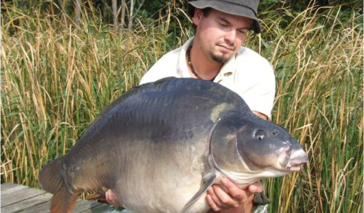 CT PePe a jejich Maďarská série