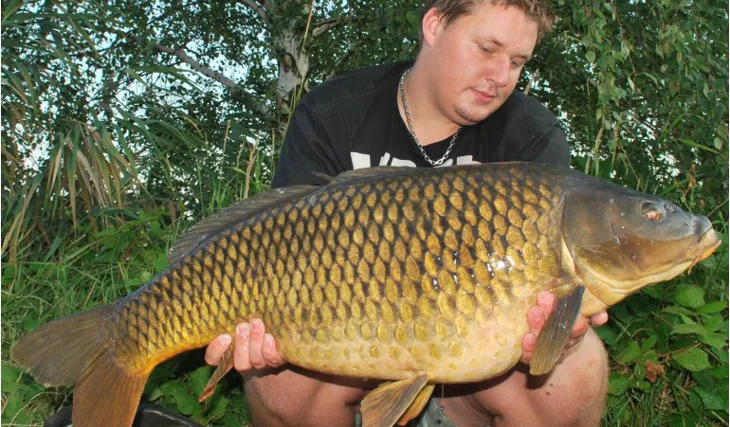 Honzovy noční můry