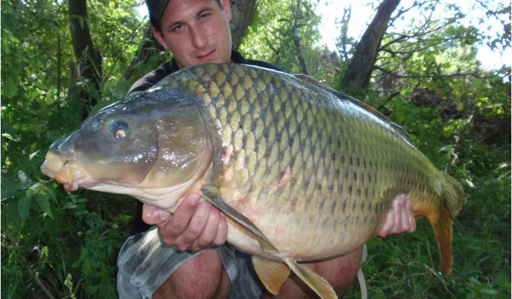 Tomášova povedená plavba