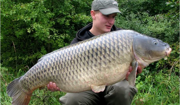 Další úspěšné mapování Francie