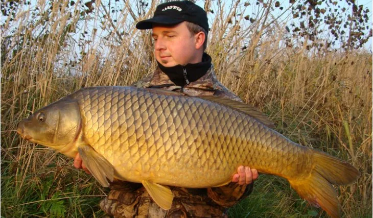 Stella team opět na scéně! 