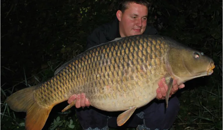 Honzovi podzimní šupináči