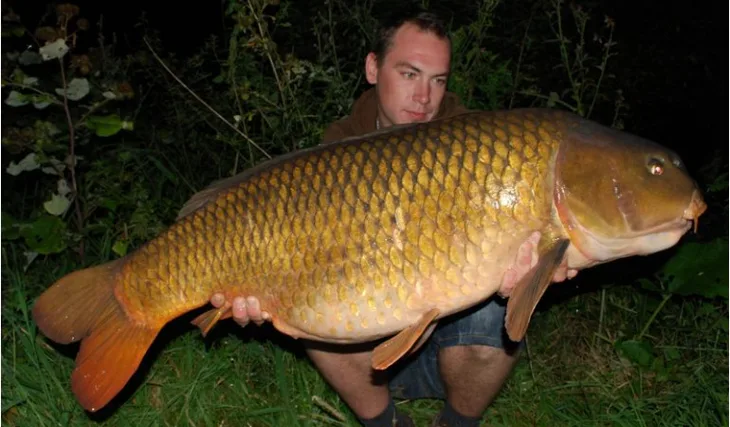 Carpkillerovy krátké akce