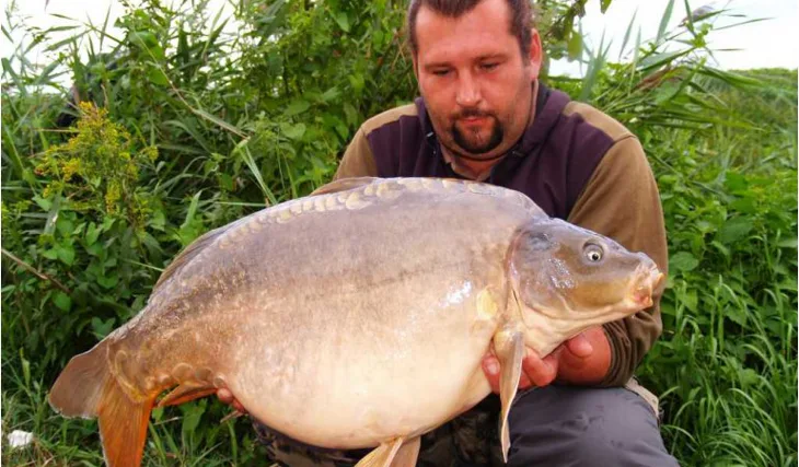 Braňův tanec se Selkou