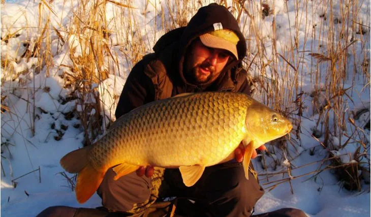 Braňovi kapři na sněhu