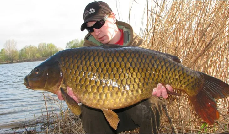 Carpkiller to už nemilosrdně kosí!