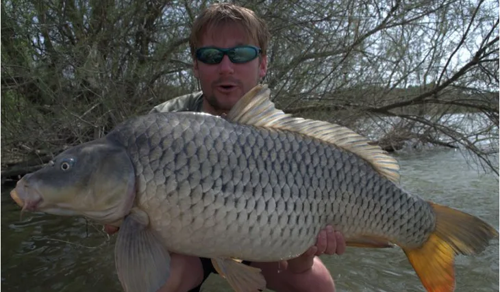 Zimní Ebro CT Havana