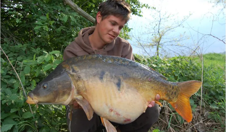 Trpělivost kapry přináší!